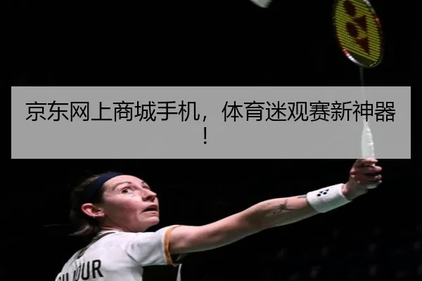 京东网上商城手机，体育迷观赛新神器！
